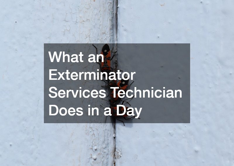 What an Exterminator Services Technician Does in a Day