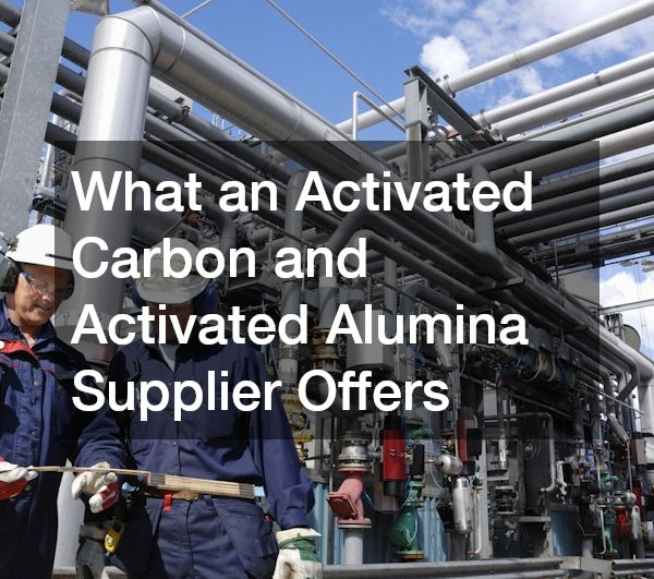 What an Activated Carbon and Activated Alumina Supplier Offers